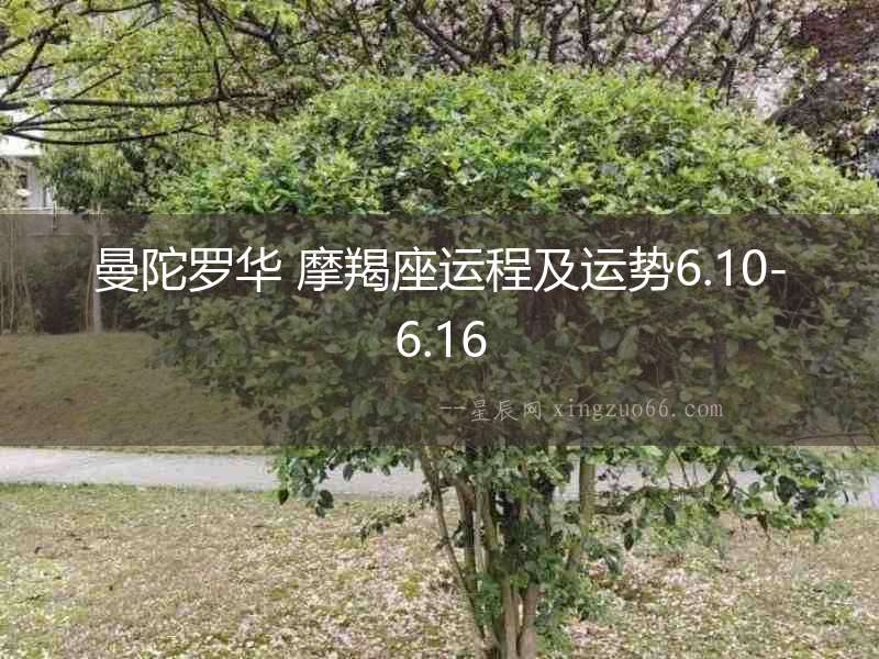 曼陀羅華 摩羯座運程及運勢6.10-6.16