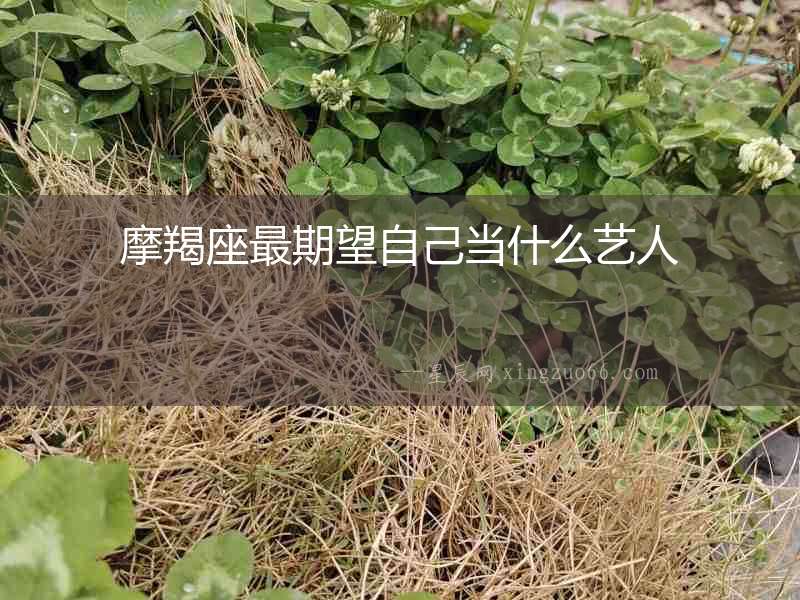 摩羯座最期望自己當(dāng)什么藝人