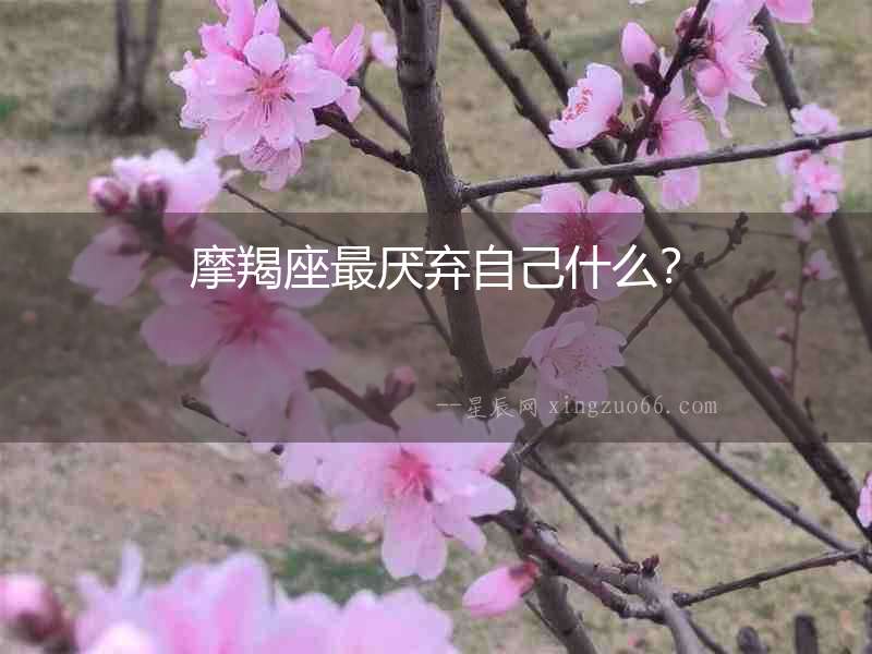 摩羯座最厭棄自己什么？