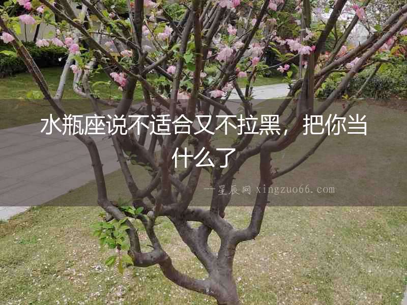 水瓶座說不適合又不拉黑，把你當(dāng)什么了