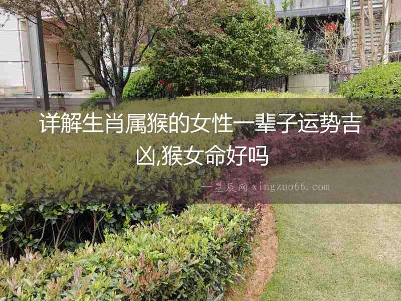 詳解生肖屬猴的女性一輩子運勢吉兇,猴女命好嗎