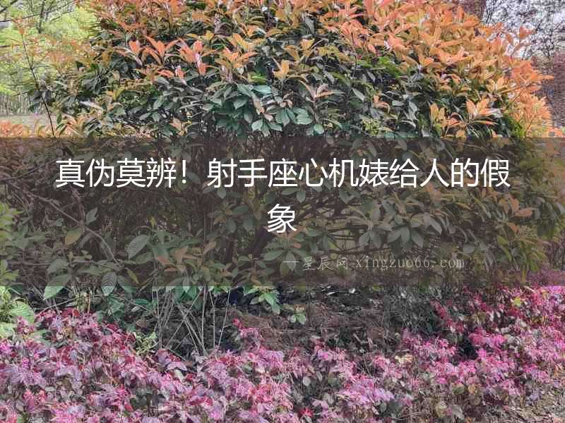 真?zhèn)文妫∩涫肿臋C(jī)婊給人的假象