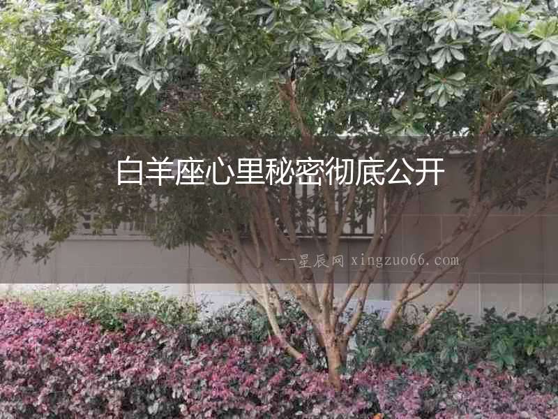 白羊座心里秘密徹底公開