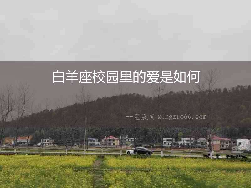 白羊座校園里的愛(ài)是如何