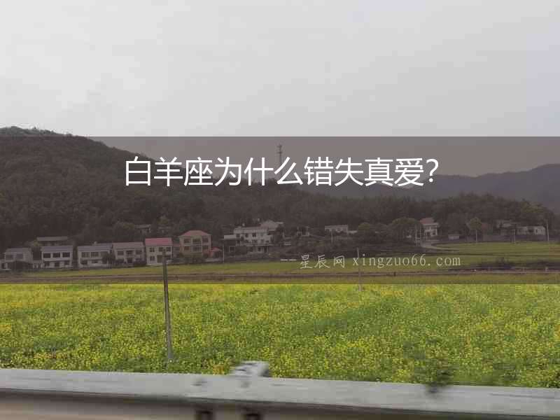白羊座為什么錯(cuò)失真愛(ài)？