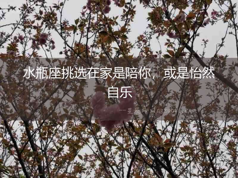 水瓶座挑選在家是陪你，或是怡然自樂