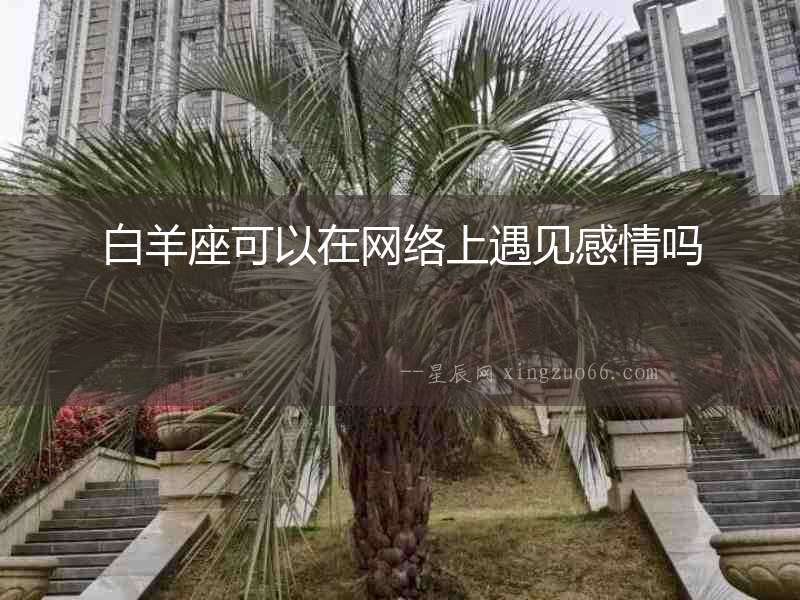 白羊座可以在網(wǎng)絡(luò)上遇見感情嗎