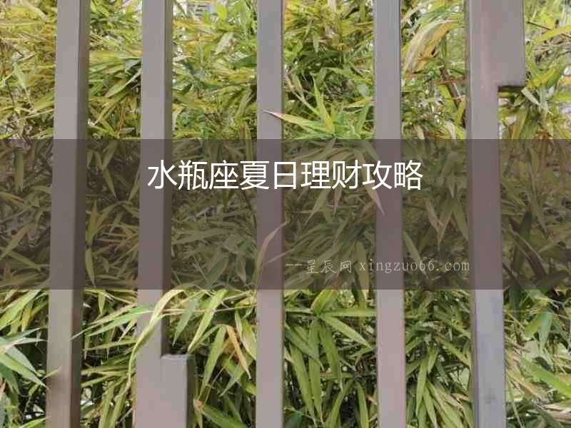 水瓶座夏日理財攻略