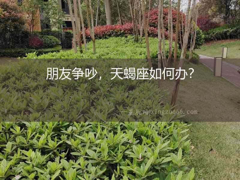 朋友爭吵，天蝎座如何辦？