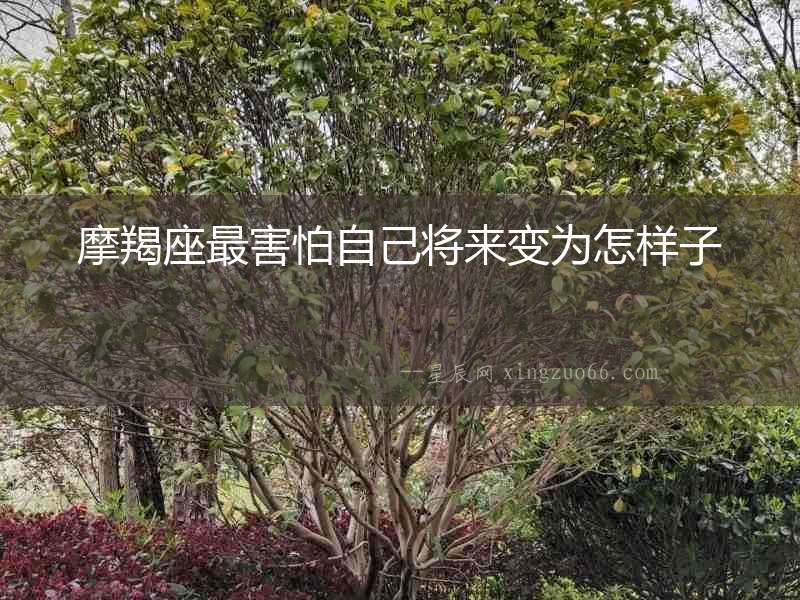 摩羯座最害怕自己將來變?yōu)樵鯓幼? alt=