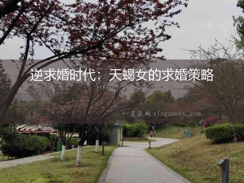 逆求婚時代：天蝎女的求婚策略