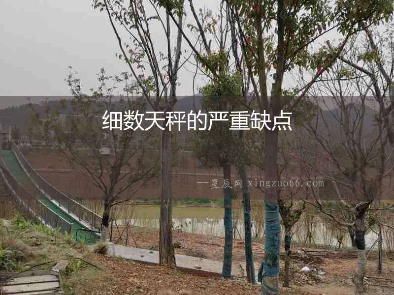 細數(shù)天秤的嚴重缺點