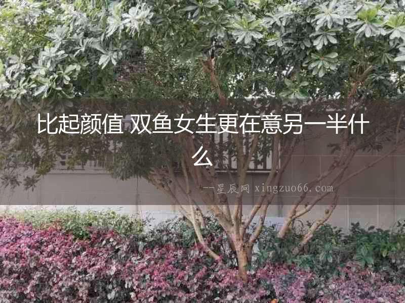 比起顏值 雙魚女生更在意另一半什么