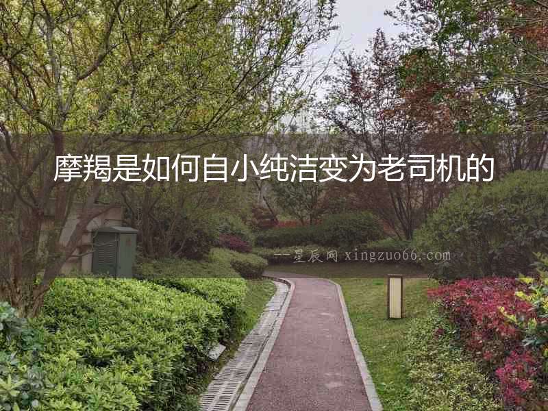 摩羯是如何自小純潔變?yōu)槔纤緳C的