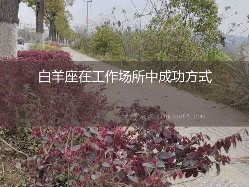 白羊座在工作場所中成功方式