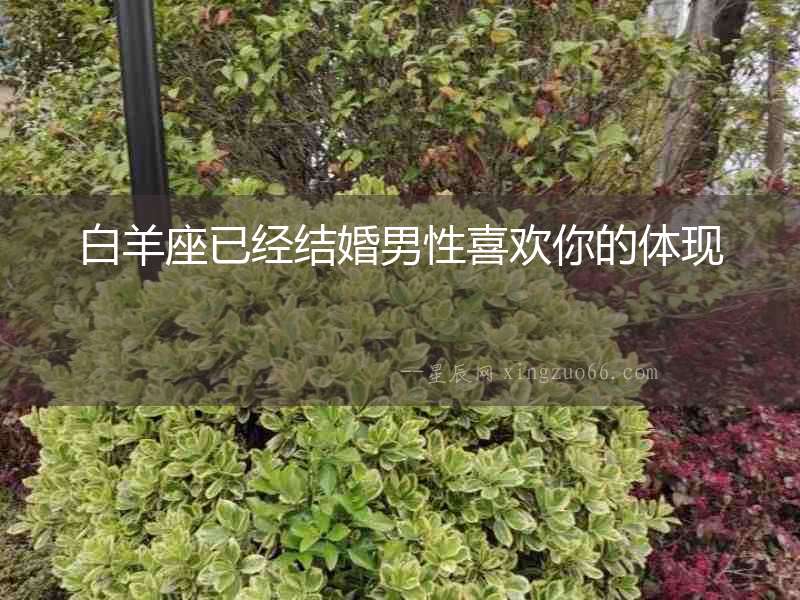 白羊座已經結婚男性喜歡你的體現