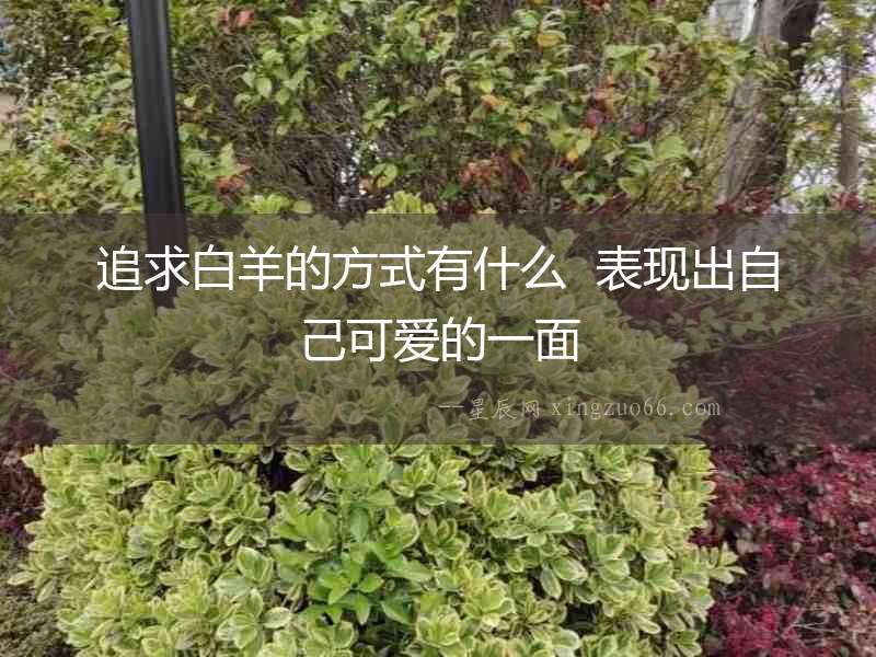 追求白羊的方式有什么  表現(xiàn)出自己可愛(ài)的一面