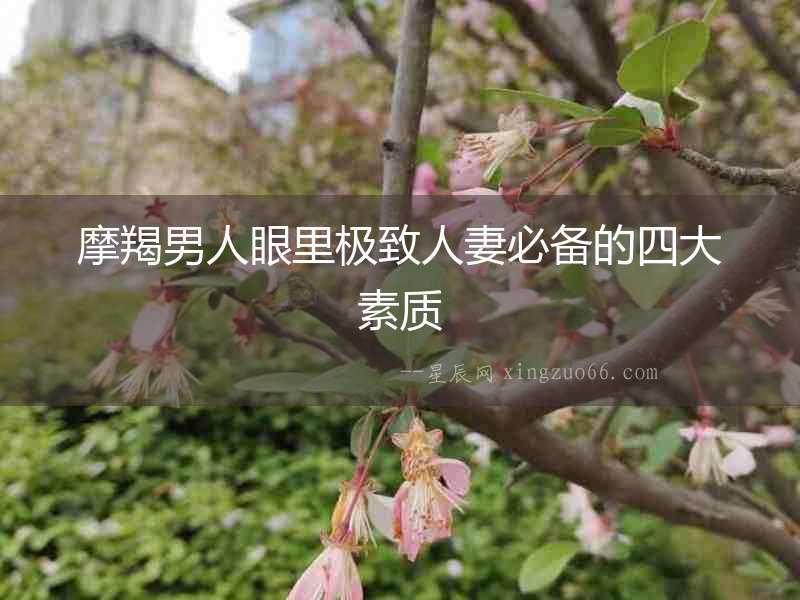 摩羯男人眼里極致人妻必備的四大素質(zhì)