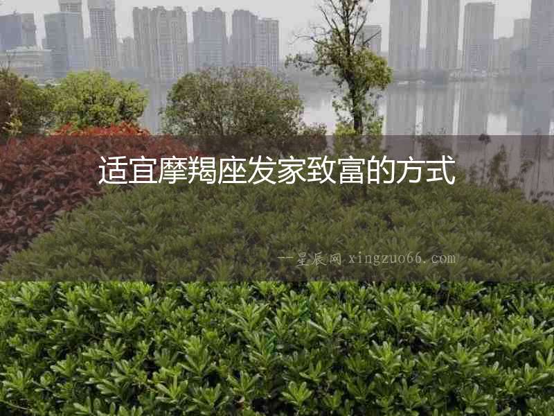 適宜摩羯座發(fā)家致富的方式