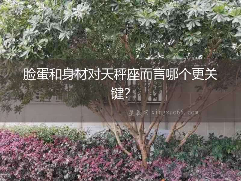 臉蛋和身材對天秤座而言哪個更關鍵？