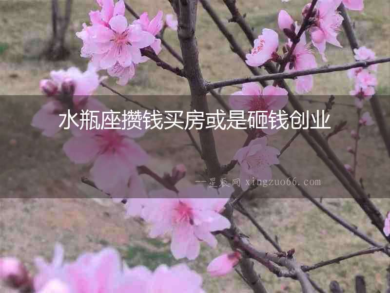 水瓶座攢錢買房或是砸錢創業