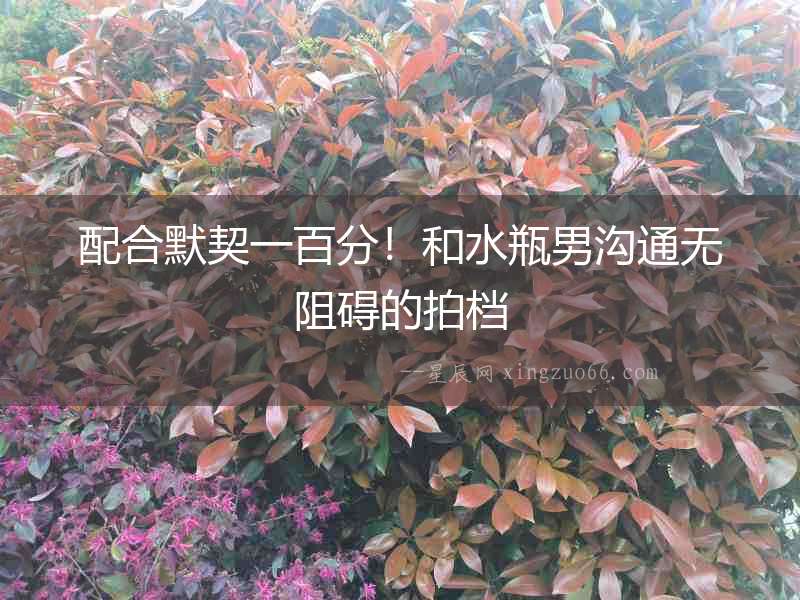 配合默契一百分！和水瓶男溝通無阻礙的拍檔