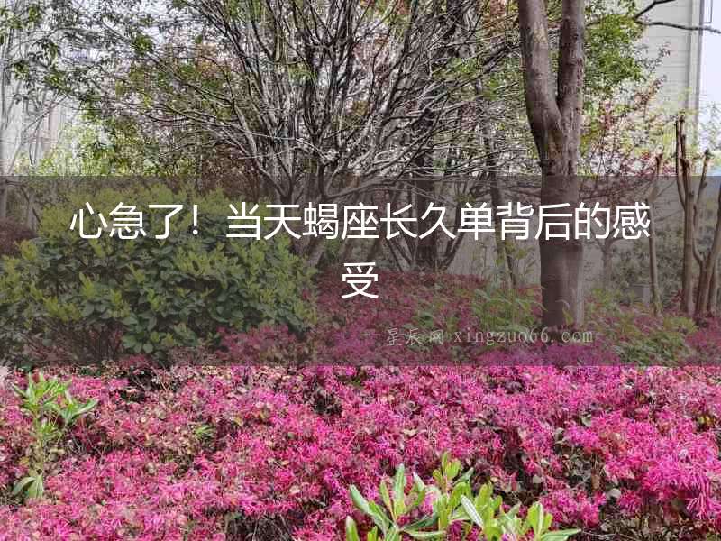 心急了！當(dāng)天蝎座長(zhǎng)久單背后的感受