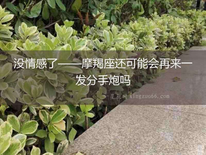 沒情感了——摩羯座還可能會再來一發(fā)分手炮嗎