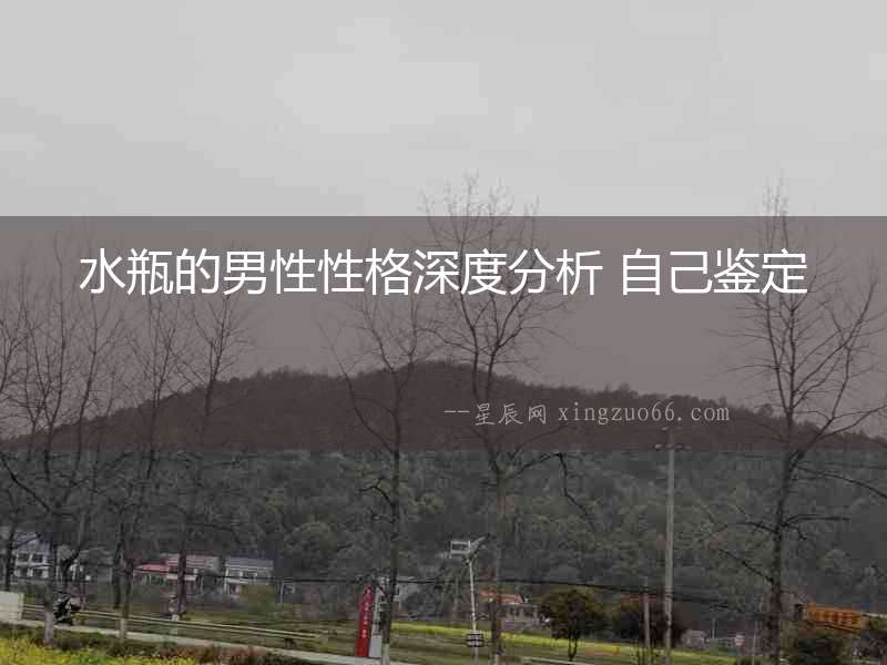 水瓶的男性性格深度分析 自己鑒定