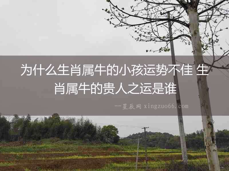 為什么生肖屬牛的小孩運勢不佳 生肖屬牛的貴人之運是誰