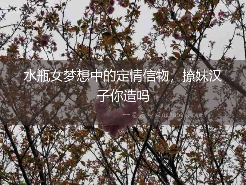 水瓶女夢想中的定情信物，撩妹漢子你造嗎