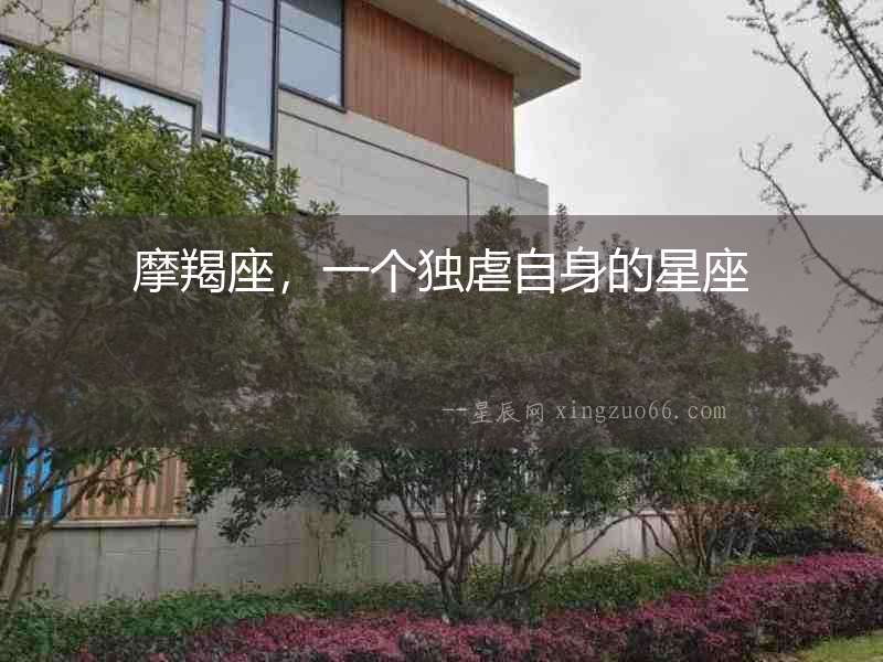 摩羯座，一個(gè)獨(dú)虐自身的星座