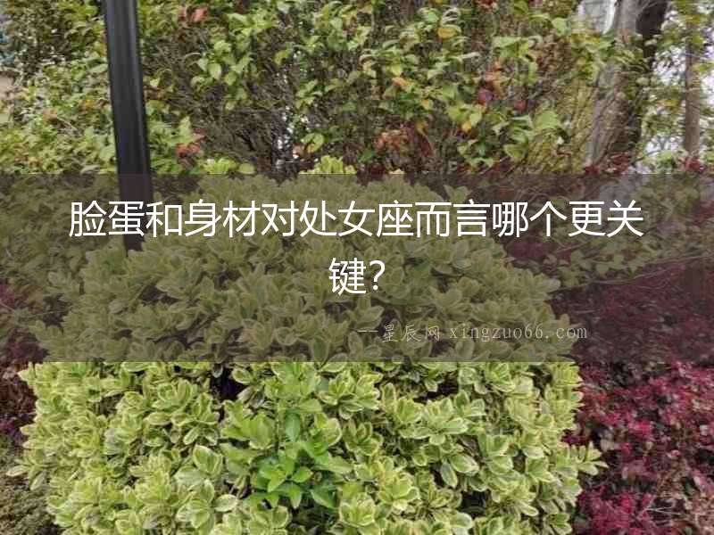 臉蛋和身材對處女座而言哪個更關鍵？