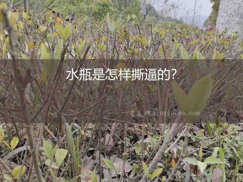 水瓶是怎樣撕逼的？