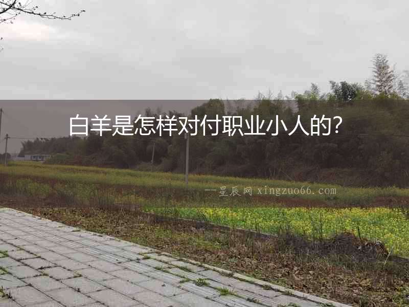 白羊是怎樣對(duì)付職業(yè)小人的？