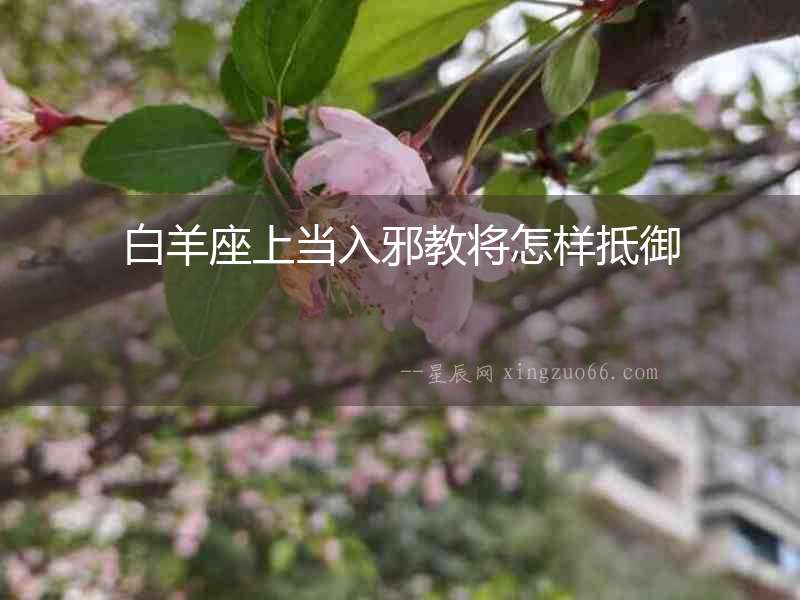 白羊座上當入邪教將怎樣抵御