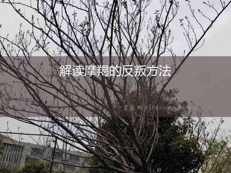 解讀摩羯的反叛方法