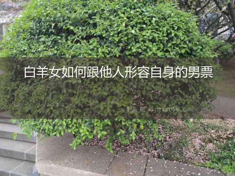 白羊女如何跟他人形容自身的男票