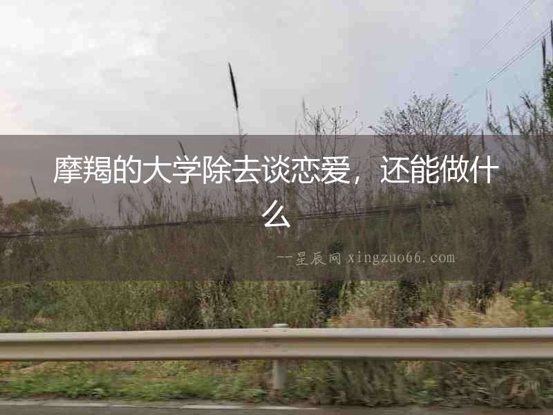 摩羯的大學(xué)除去談戀愛，還能做什么