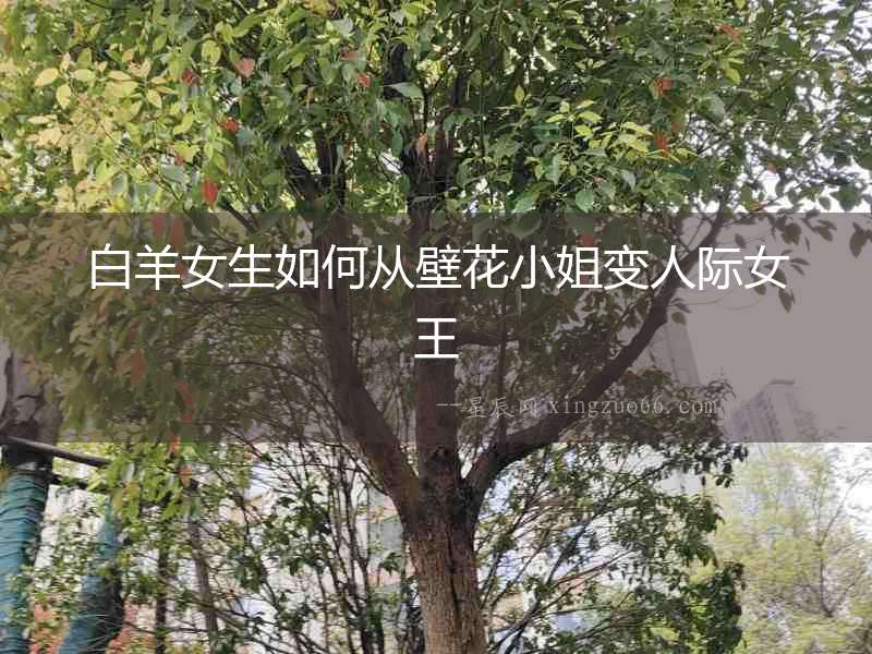 白羊女生如何從壁花小姐變?nèi)穗H女王