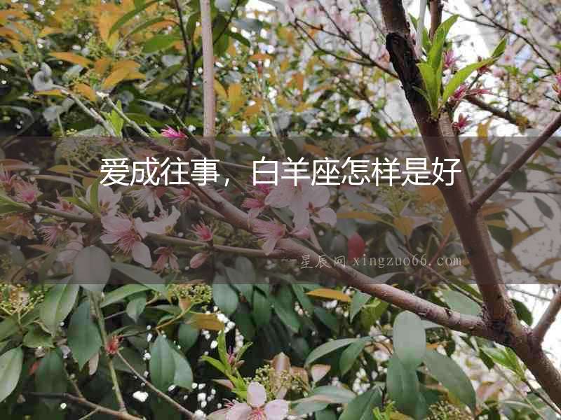 愛成往事，白羊座怎樣是好