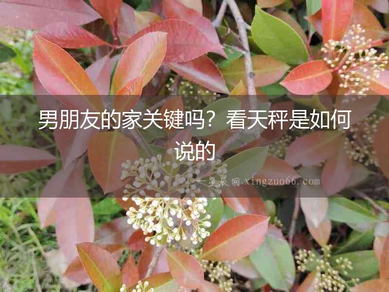 男朋友的家關(guān)鍵嗎？看天秤是如何說的