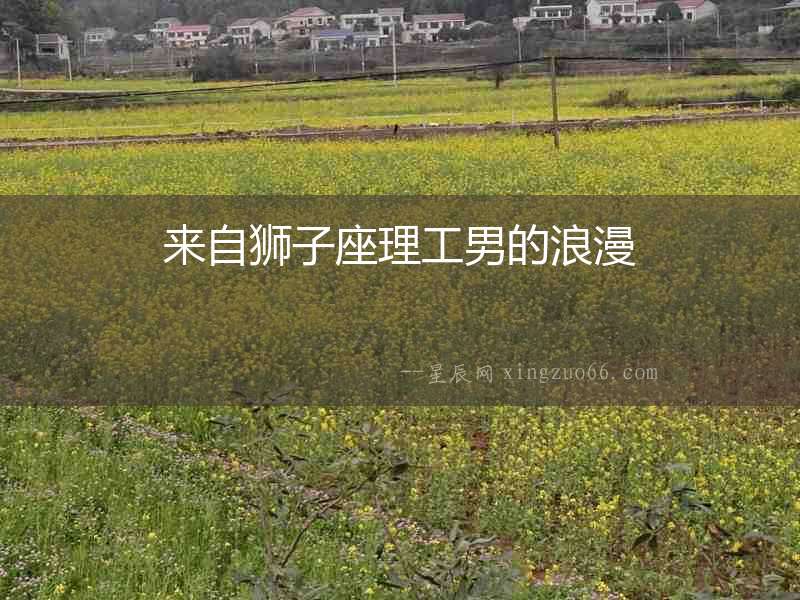來自獅子座理工男的浪漫