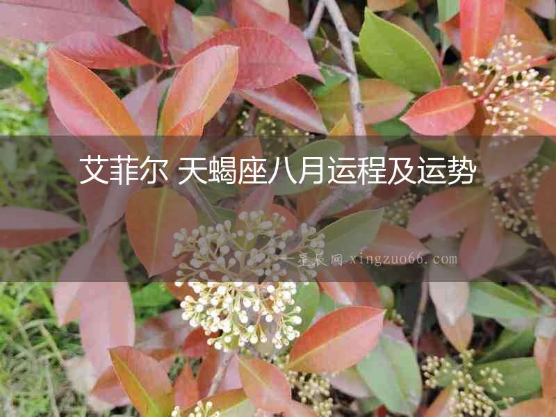 艾菲爾 天蝎座八月運程及運勢