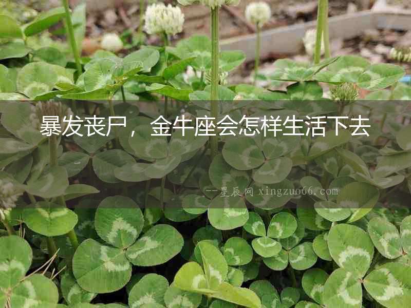 暴發喪尸，金牛座會怎樣生活下去