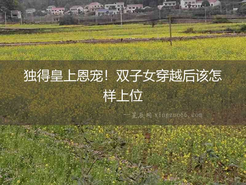 獨(dú)得皇上恩寵！雙子女穿越后該怎樣上位