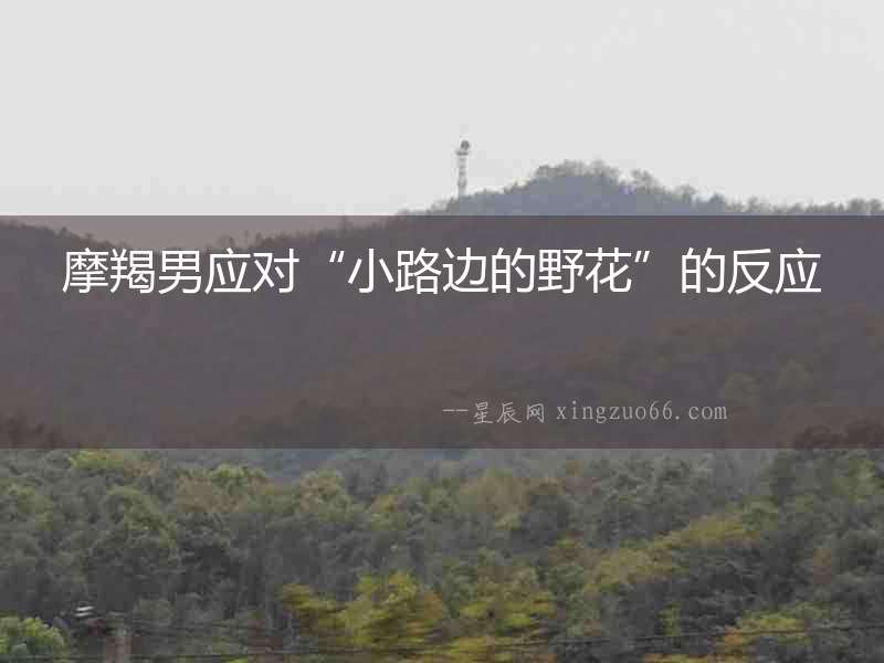 摩羯男應(yīng)對(duì)“小路邊的野花”的反應(yīng)