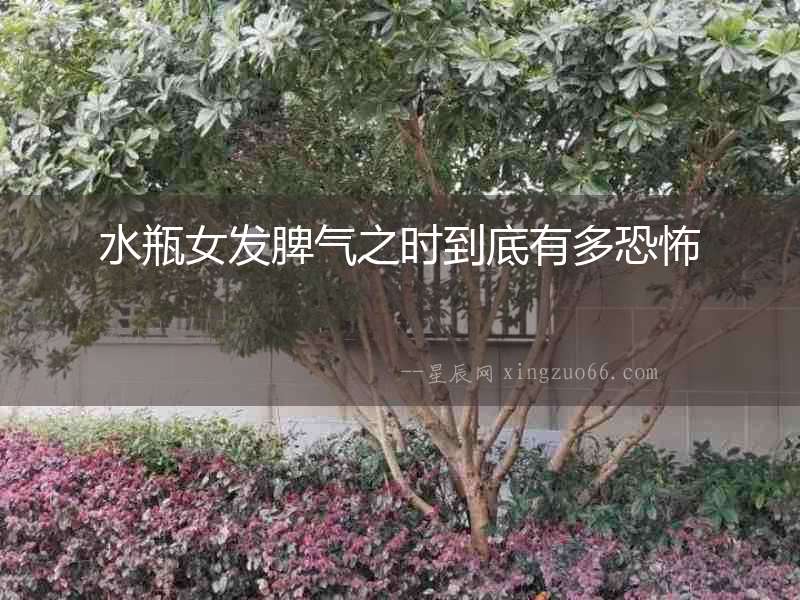 水瓶女發(fā)脾氣之時到底有多恐怖