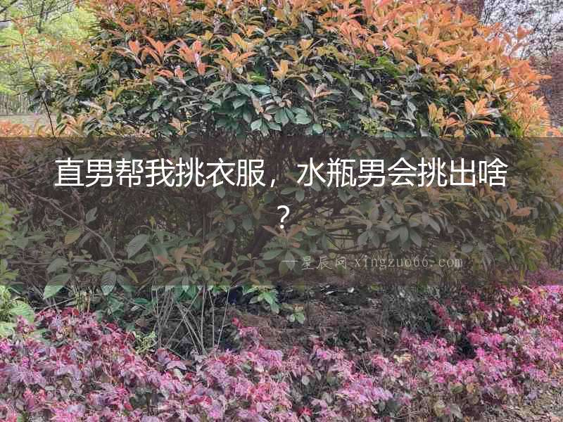 直男幫我挑衣服，水瓶男會挑出啥？