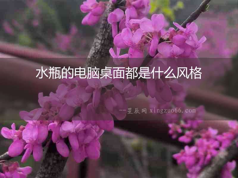 水瓶的電腦桌面都是什么風(fēng)格